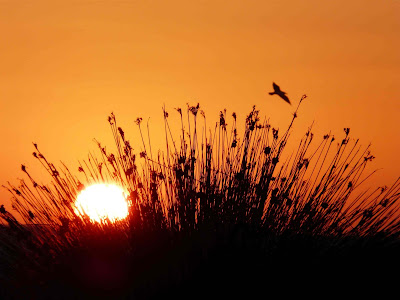 Sunset in Tarifa