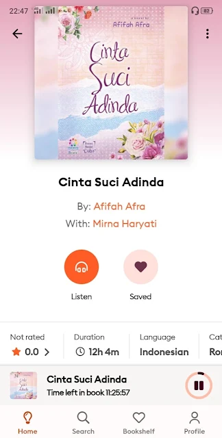 novel islami cinta suci adinda