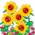 Gif de flor