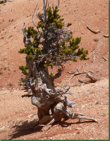 P1110646
