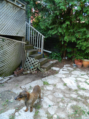 Riverdale  Summer Garden Weeding and Cleanup After by Paul Jung Gardening Services--a Toronto Gardening Company