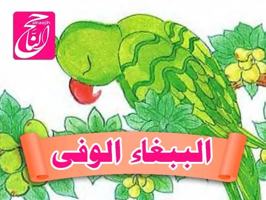 قصص عن الحيوانات والطيور