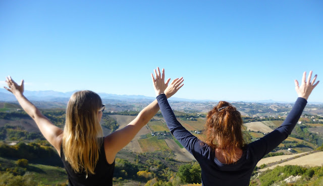 italy vineyard