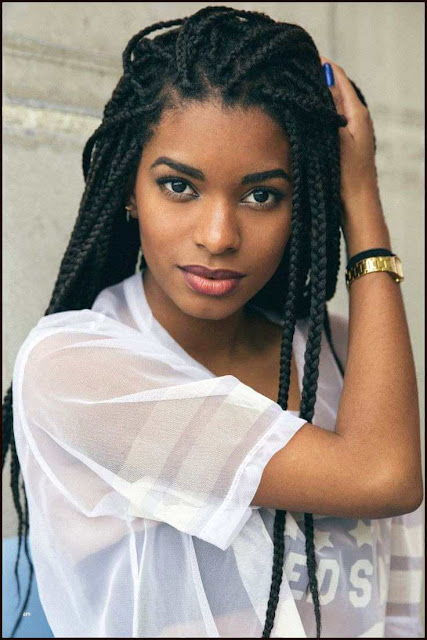 24+ Perfect African American Braids Hairstyles For Unruly Hair