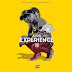Dj Léo Mix -  Afro Experience II (EP)