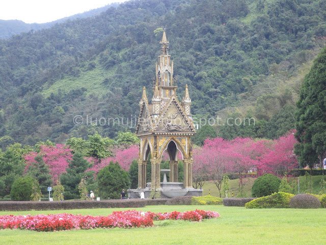 Formosan Aboriginal Culture Village cherry blossom