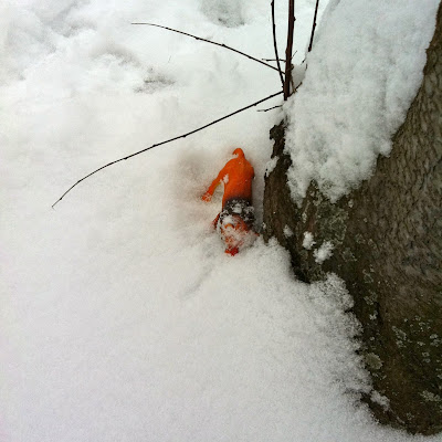 hide and seek toys in the snow - lion