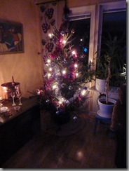 dec-5 017