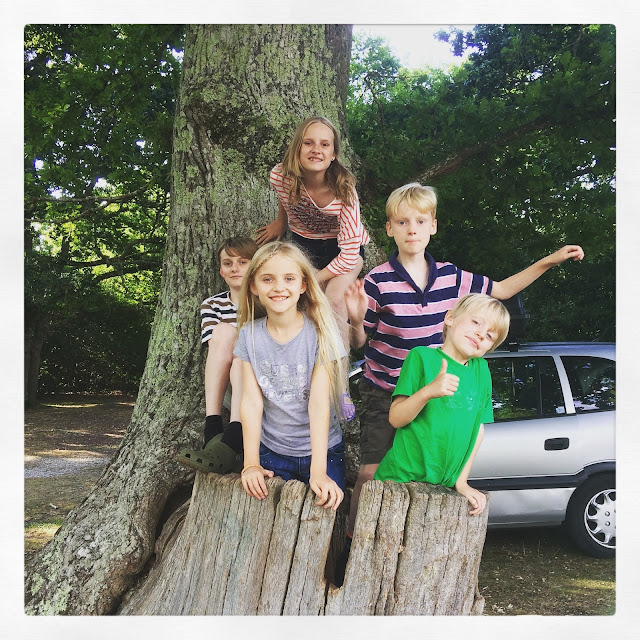 children in tree