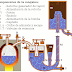 Proceso de la maquina de vapor
