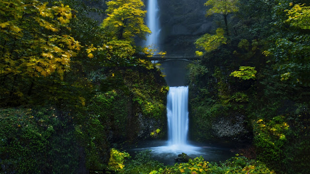 Wallpaper Waterfall Forest, Hd, 4k. Free Images,