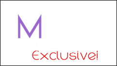 Exclusive Logo