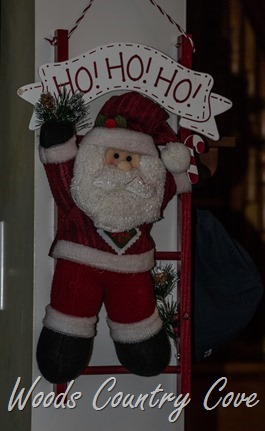 DECEMBER 2015 (9 of 21)