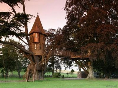 Tree Houses: World Most Amazing Tree Houses 