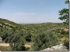 P1050662