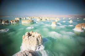  Dead Sea Moisturizer 