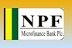 How To Apply For NPF Microfinance Bank Loans