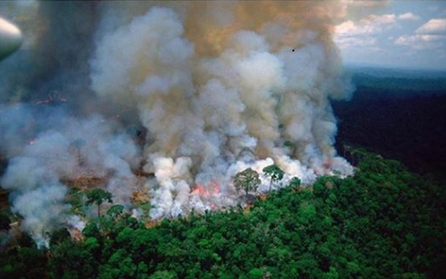 حرائق الغابات فى الامازون حرائق هائلة تم رصدها من الفضاء منذ أكثر