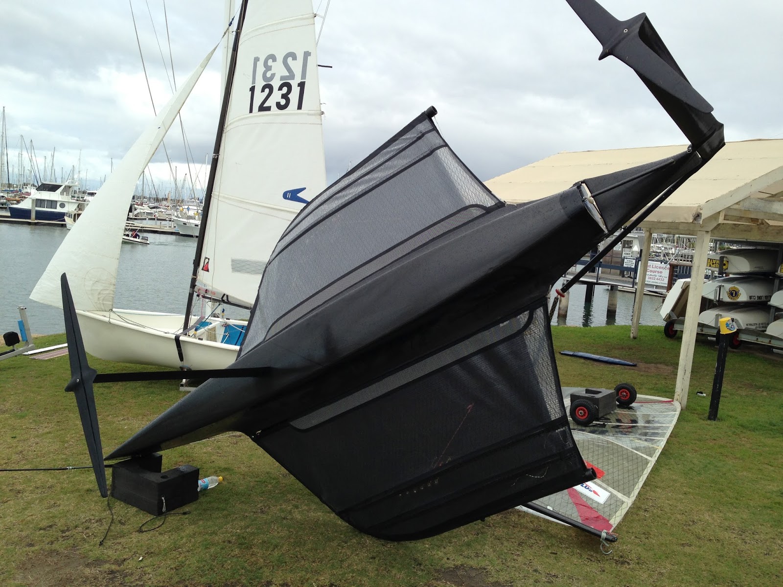nick flutter's moth design blog: Sailing with the new tramps