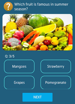 Which fruit is famous in the summer season?