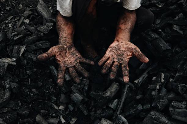 17% of India's coal line goes down: Researcher