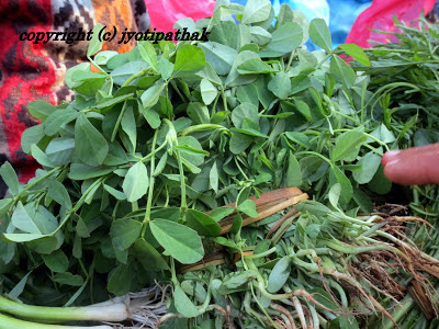  Learn more about Green Leafy Vegetables Nepal