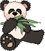 Urso Panda