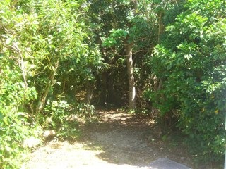 CIMG6180