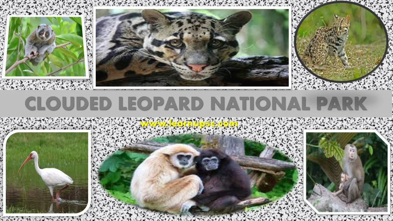 Clouded Leopard National Park