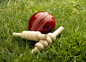 Cricket