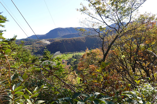 鳥取県西伯郡大山町豊房 ツバヌキ山登山道からの眺望