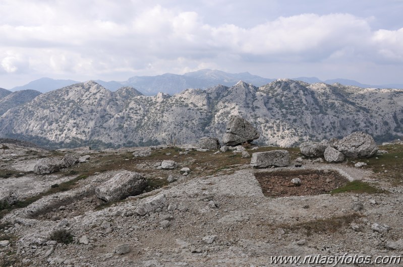 Palo-Tunio-Zahibe