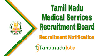 TN MRB Recruitment notification 2022, govt jobs for graduate, govt jobs for 12th, TN MRB Recruitment 2022