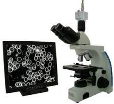 Microscopio de Campo Oscuro