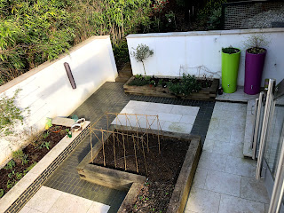 Broad beans, strawberries and veg seeds in raised bed