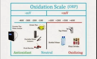 jual ph meter, jual orp meter