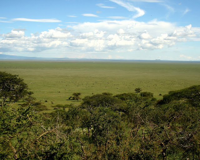 Tanzania - Africa