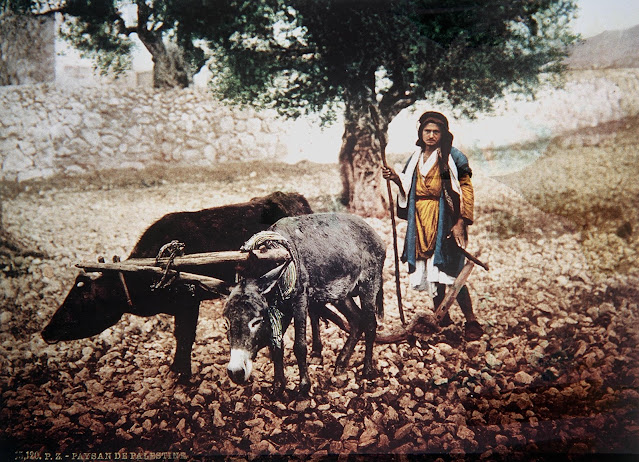 Fotografías antiguas de Palestina durante el dominio otomano