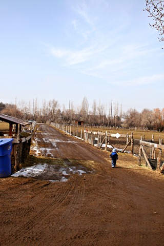Wes at Farm