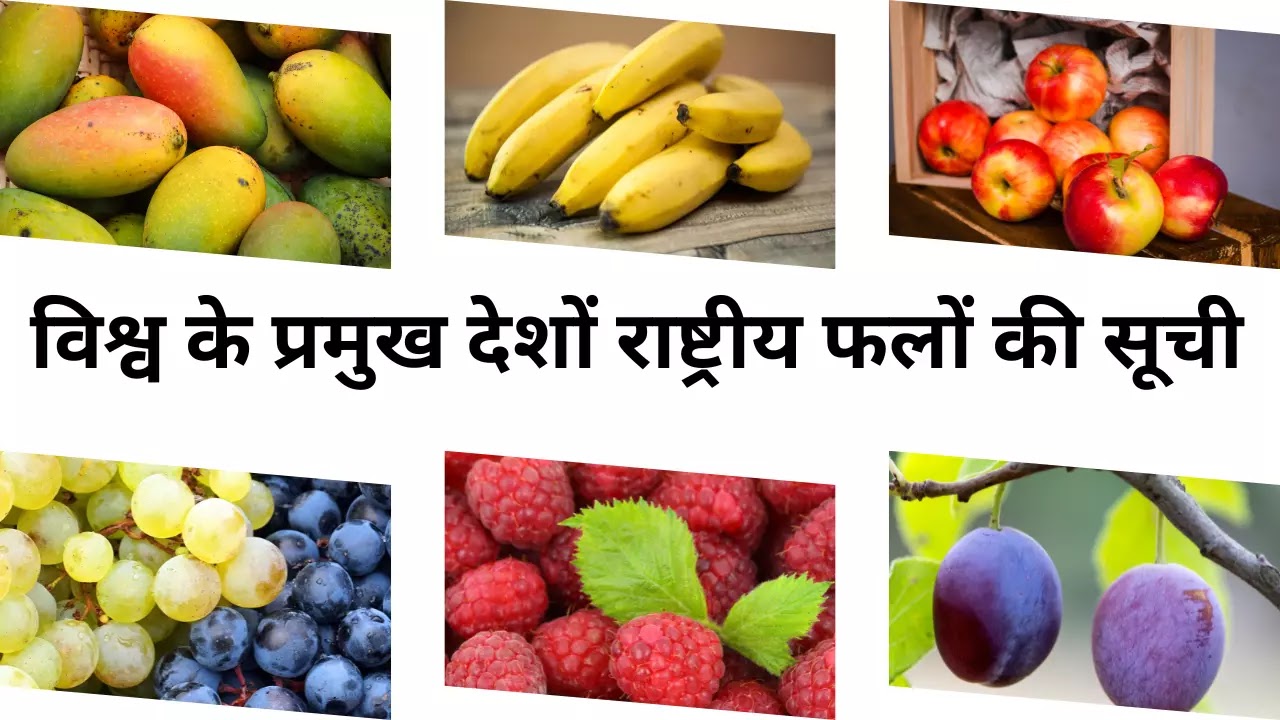 List of National Fruits of Major Countries of the World