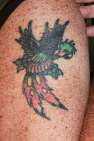 His (late) dad had a parrot tattooed on his leg because he loved Jimmy 