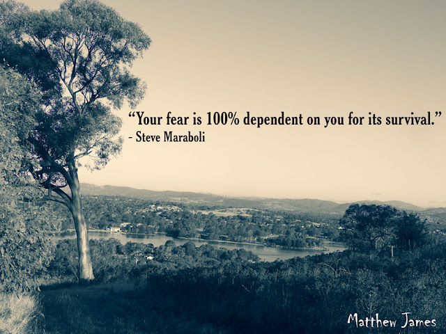 “Your fear is 100% dependent on you for its survival.” ― Steve Maraboli,