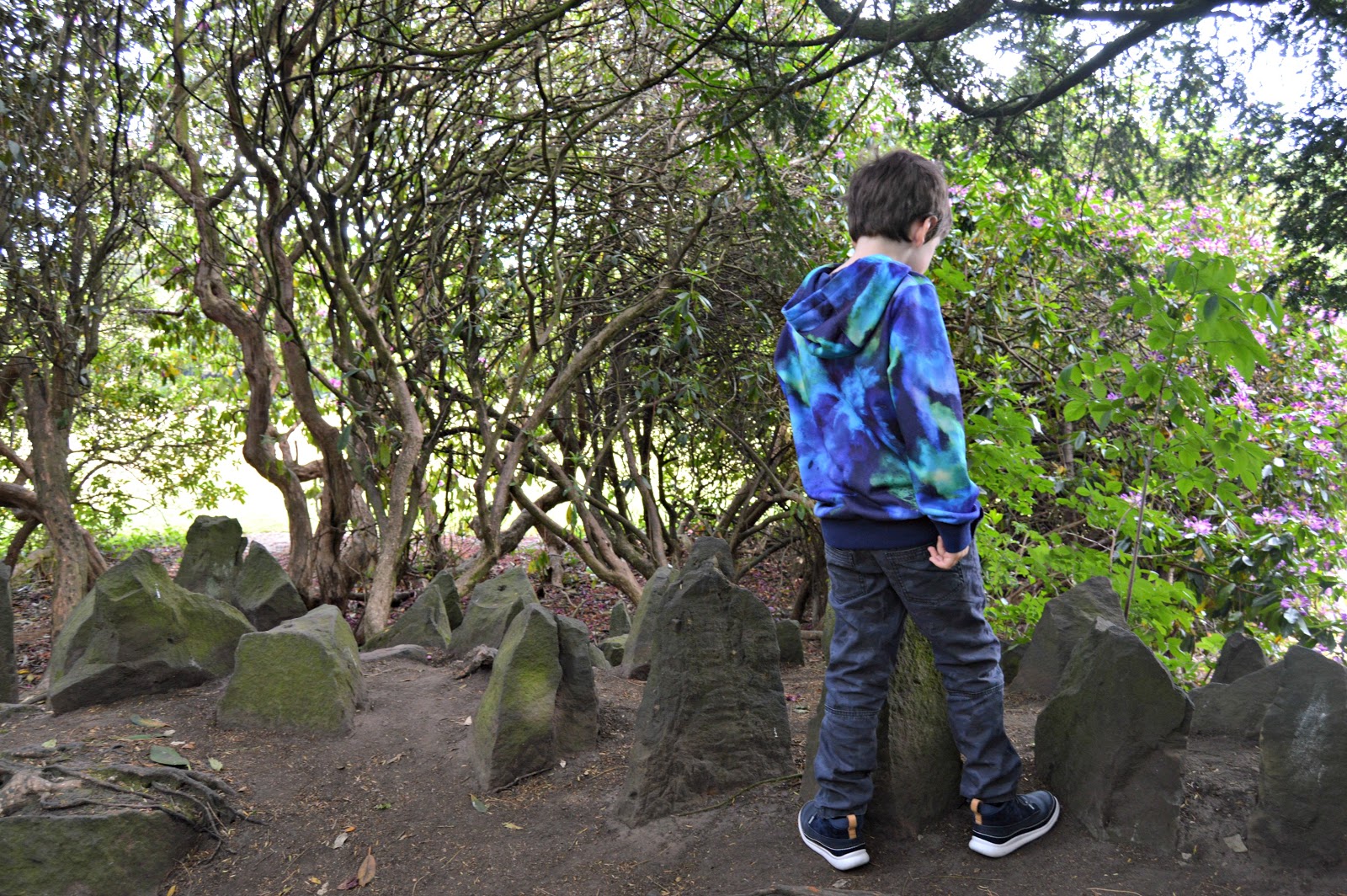 boy looking at rocks
