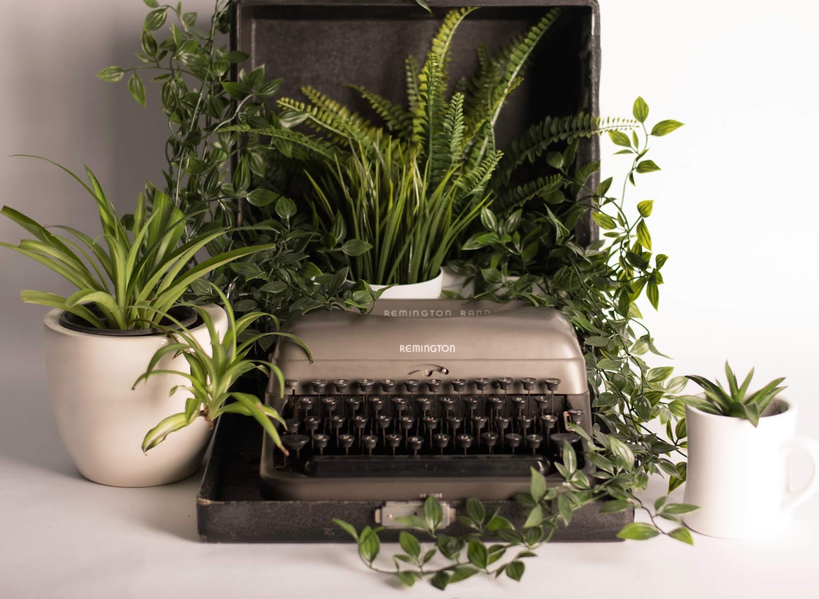 Why Indoor Foliage can elevate your mood. | Foliage Box