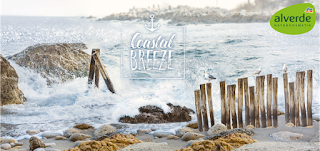 Preview: alverde Coastal Breeze - www.annitschkasblog.de