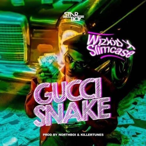 Wizkid X Slimcase - Gucci Snake Prod. by Northboi & Killertunes mp3