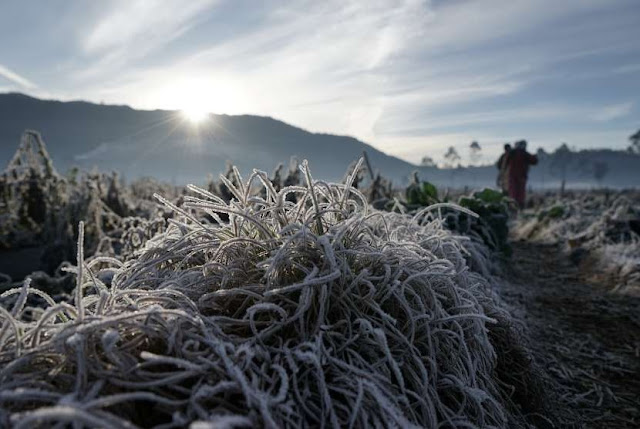 MUSIM KEMARAU MENDAKI GUNUNG