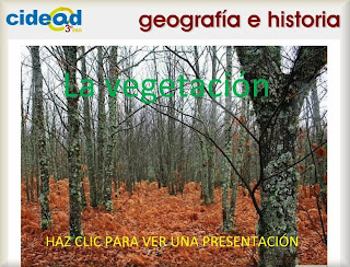 http://recursostic.educacion.es/secundaria/edad/3esohistoria/quincena9/swf/vegetacion/index.htm