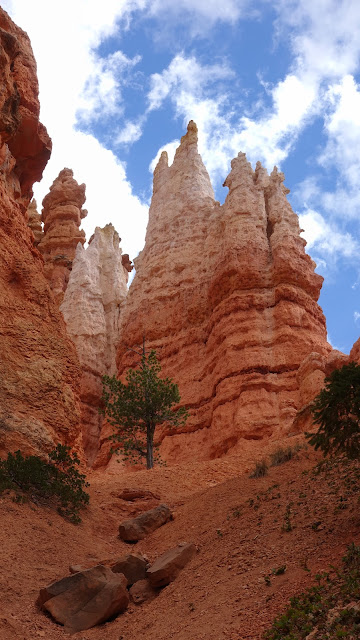 Bryce NP