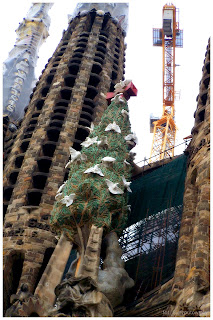 Sagrada Familia w Barcelonie